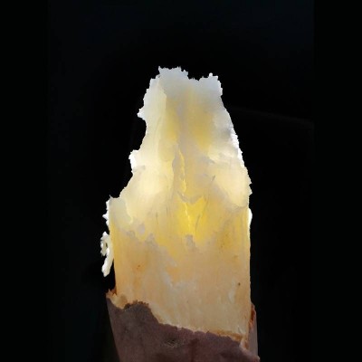 小汤山天使蜜薯2.5kg图4