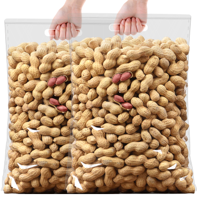 鼠状元龙岩花生蒜香香味500g/袋图5