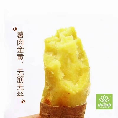 小汤山黄金香薯2.5kg图5