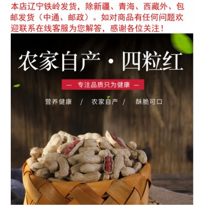 木乃壳东北红衣生花生四粒红花生果新鲜带壳花生5斤图5