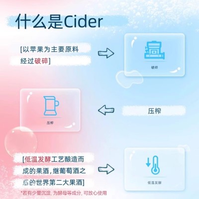 TEMPT诱惑7号接骨木味西打果酒微醺3/7/8/9号低度国产甜酒果酒图2