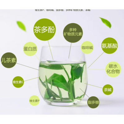 英茶王茶叶炒青绿茶原生态老树茶英德绿茶浓香型绿茶茶叶盒装茶叶图3