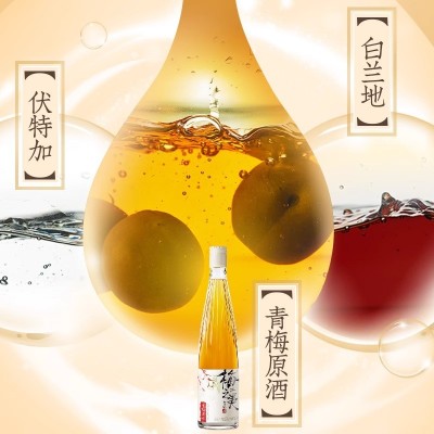梅之美青梅RIO果酒500ml*2瓶女士高颜值晚安梅子微醺甜酒正品低度果酒图3