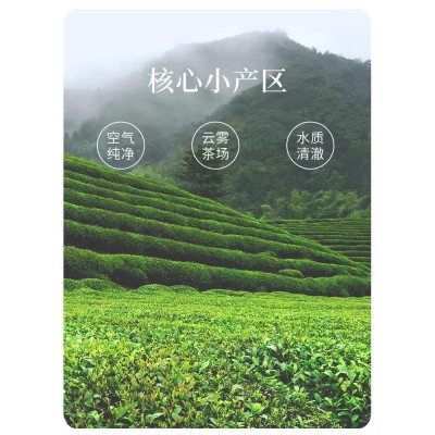 【顺丰】林恩雾绿茶新茶传承正宗明前绿茶年货送礼礼罐装88g图5