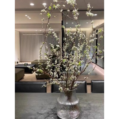 雪柳树苗盆栽喷雪花水养干枝阳台易活花卉庭院树苗绣线菊土培带根图4