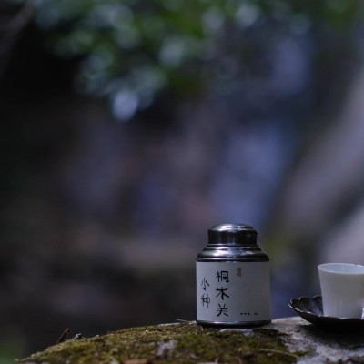 武夷红茶正山小种桐木关小种桂圆香栀子花香50g图4