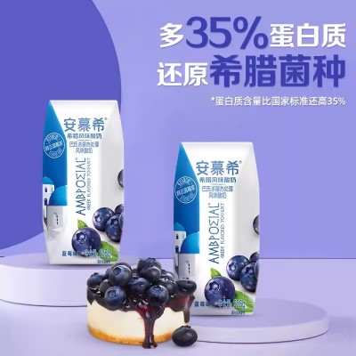 伊利安慕希希腊风味酸奶蓝莓味 205g*12盒 整箱装图3