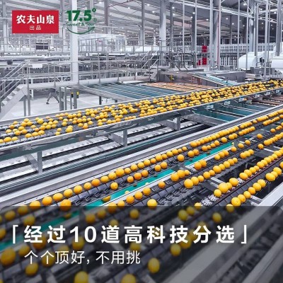 农夫山泉17.5°橙铂金果约5kg/箱图4