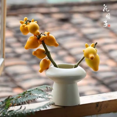 五代同堂黄金果盆栽室内绿植桌面花卉盆景鲜切水培植物带果发货图2