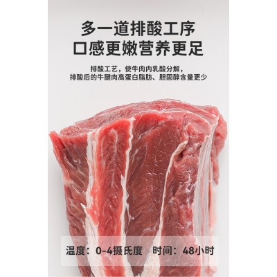 SHARKFIT/鲨鱼菲特高蛋白酱牛肉 50g*4袋 整箱装图2