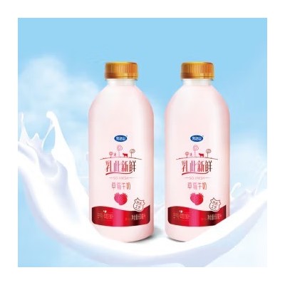 完达山乳此新鲜巴氏杀菌全脂草莓牛奶 650ml*12瓶 整箱装图5