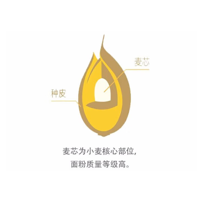 福花麦芯小麦粉和面爽手·面团细腻·口感劲道·麦香浓郁2.5kg/袋图4