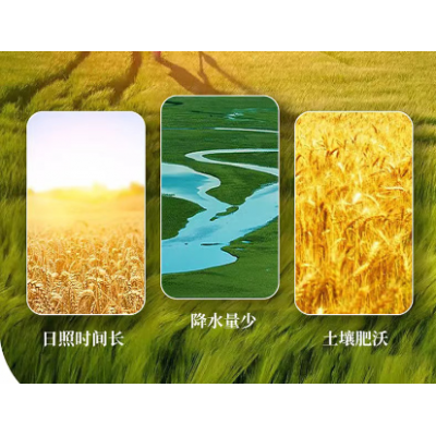 五得利七星雪晶小麦面粉5kg/袋小程序下单21.8元 拉面饺子面条包子馒头均可 新概念好吃永不变图5