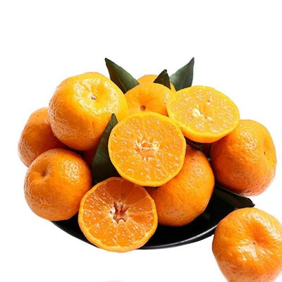 砂糖橘量贩装约2.5kg/箱图3