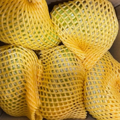 海南三亚冰糖心木瓜(单果300g起)约2kg24袋图5