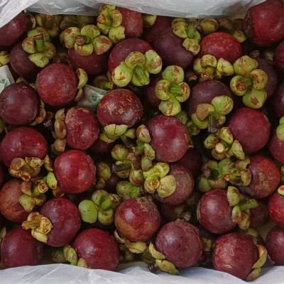 泰国进口4A级品质山竹约2kg/箱图4