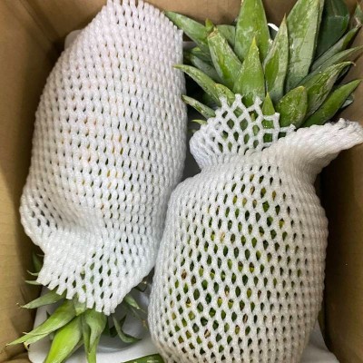 菲律宾进口凤梨单果900g起约2kg/箱图2