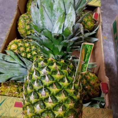 菲律宾进口凤梨单果900g起约2kg/箱图5