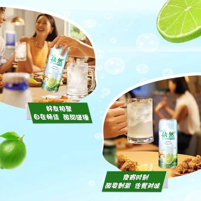 朵然易拉罐青柠绿茶味气泡水清新组合口味0脂330ml*6瓶特价批发图5