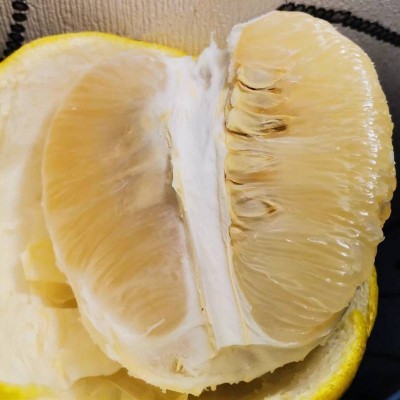 湖南江永香柚(4-5粒)约4.5kg/箱图3