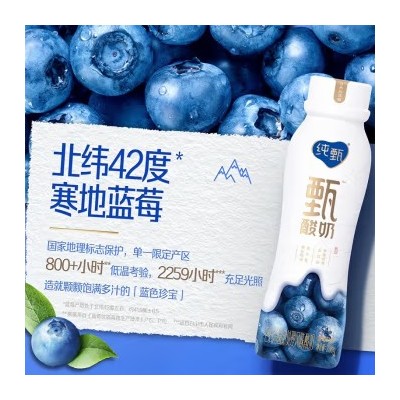 蒙牛纯甄甄酸奶蓝莓口味风味酸奶PET瓶230gx10瓶/箱图3
