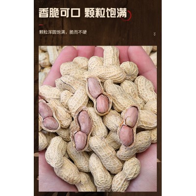 比比赞（BIBIZAN）蒜香味花生 200g*1袋 整袋装图2