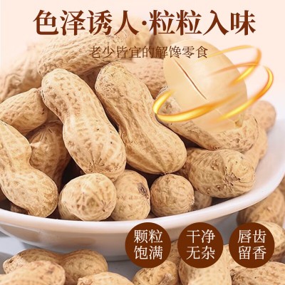 馋小贝龙岩蒜香花生米 500g*10袋 整箱装图5