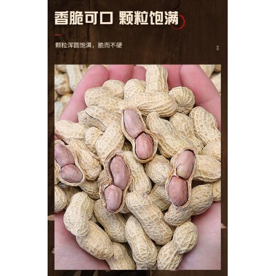 棠品龙岩花生带壳五香蒜香花生米 蒜香味+五香味 1kg*1箱图2
