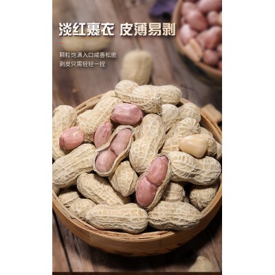 棠品龙岩花生带壳五香蒜香花生米 蒜香味+五香味 1kg*1箱图3