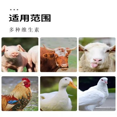 中储粮中粮50斤分装市县自提中粮膨化豆粕豆饼43蛋白饲料原料养殖猪牛羊鸡鸭鹅兽用50公斤包邮图4