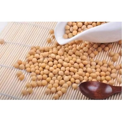 黑龙江牡丹江高蛋白大豆图1