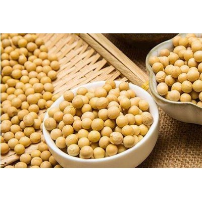 内蒙古莫旗38%蛋白大豆图1