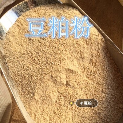 山东青岛渤海油厂生产43%蛋白豆粕出厂价3850 元/吨图5
