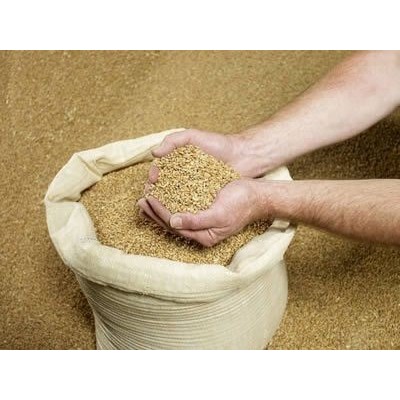 山东济宁鲁鑫油厂生产43%蛋白豆粕出厂价3850元/吨图5