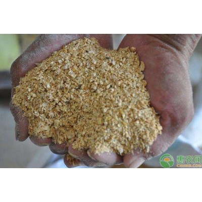 河南开封阳光油厂生产43%蛋白豆粕出厂价3940元/吨图2