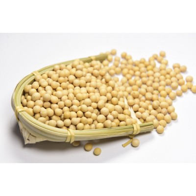 湖北荆州洪湖中黄机收豆图1