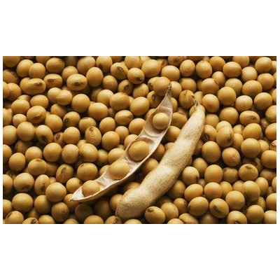 山东菏泽巨野一等净粮大豆图1