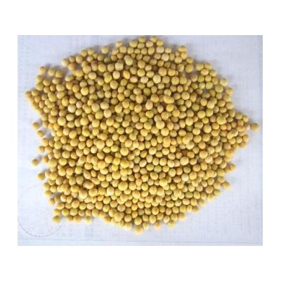 江苏南通46%大白皮过色选图1