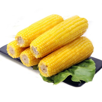 黑龙江佳木斯容重690玉米图1
