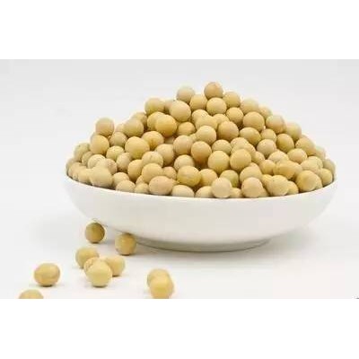黑龙江齐齐哈尔克山国储毛粮大豆图1