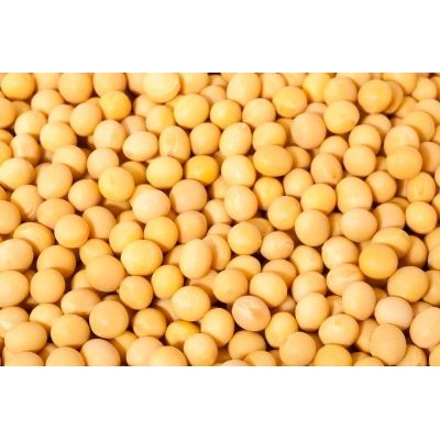 黑龙江齐齐哈尔讷河蛋白42%混粒塔选大豆图1
