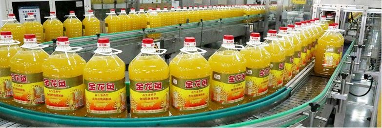 金龙鱼包装油5L/桶