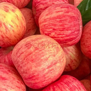 陕西洛川红富士苹果 大果18粒装 单果直径约85mm 整箱10斤 40元