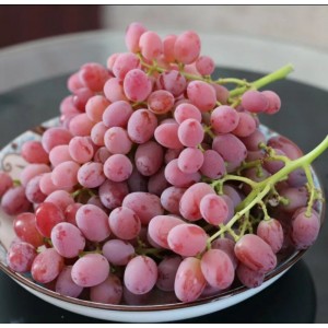 云南产红提葡萄每公斤13.60元，每箱3公斤40.80元