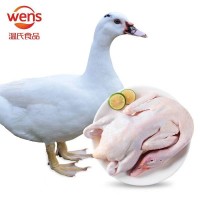 温氏广东番鸭2kg生鲜鸭肉土鸭子 /袋