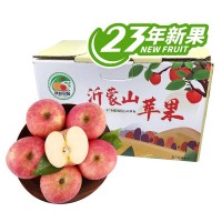 沂蒙山苹果80- 95 约4kg/箱(23年 新果)