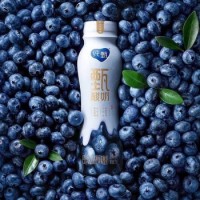 蒙牛纯甄甄酸奶蓝莓口味风味酸奶PET瓶230gx10瓶/箱