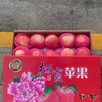 烟台苹果5kg红富士 单果约重160g-200g