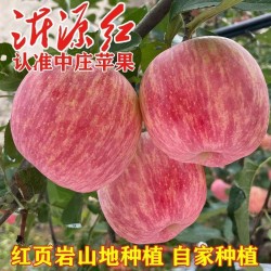 山东沂源红精品苹果 75#-85#每箱9.5斤 53.9元