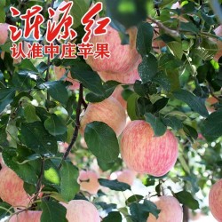 山东沂源红苹果 70#-80#每箱3.5-4斤